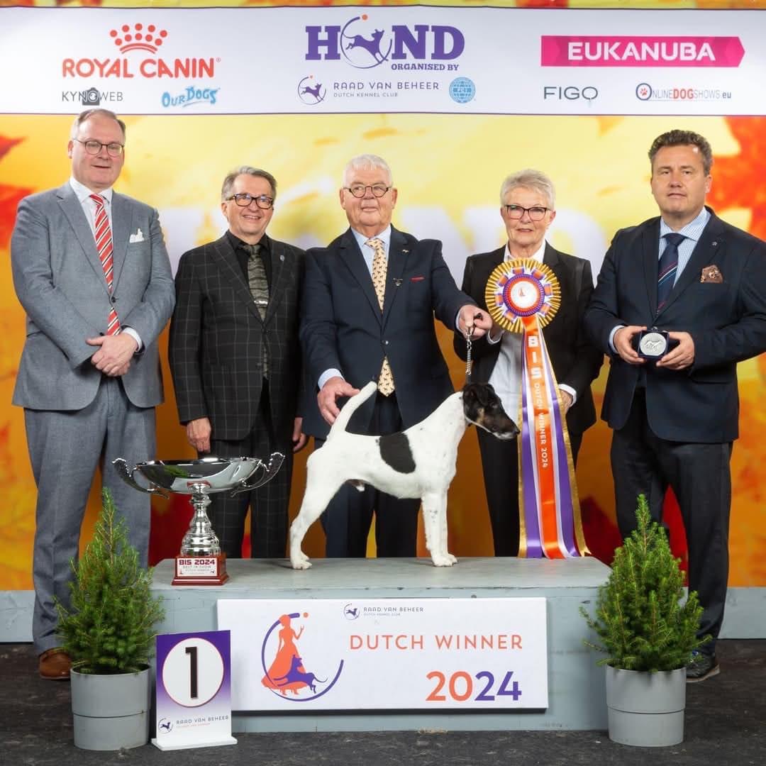 2f24e6f6-cff7-4f6f-ba6f-4c7c19749f44