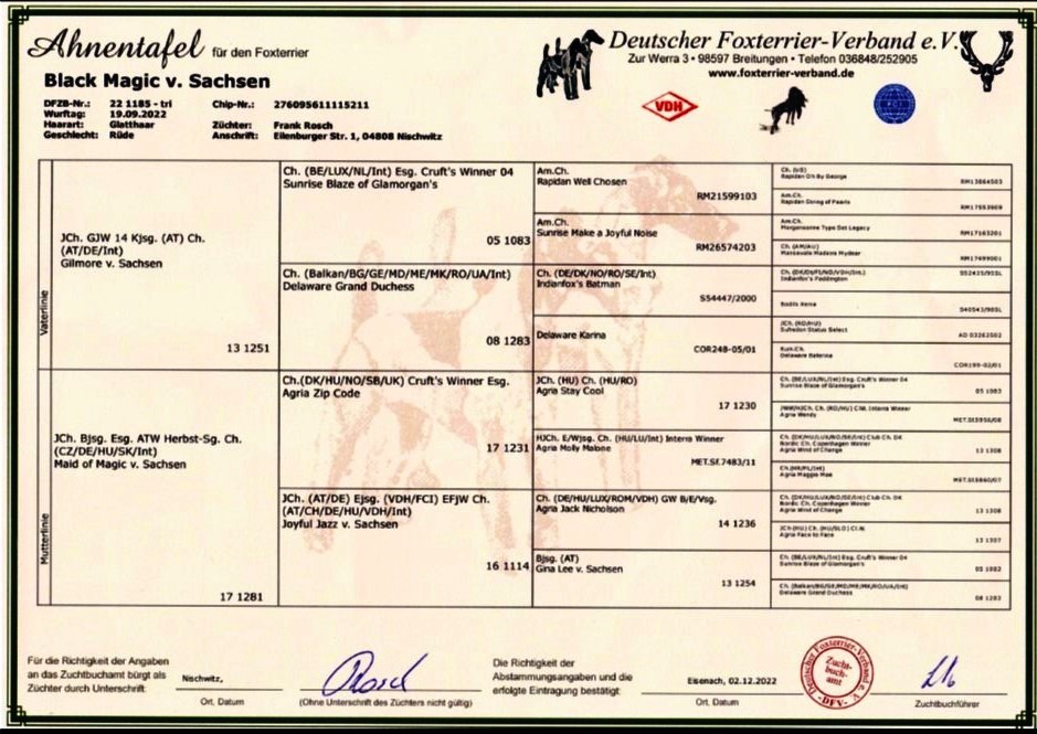 AT Black Magic v. Sachsen - VS