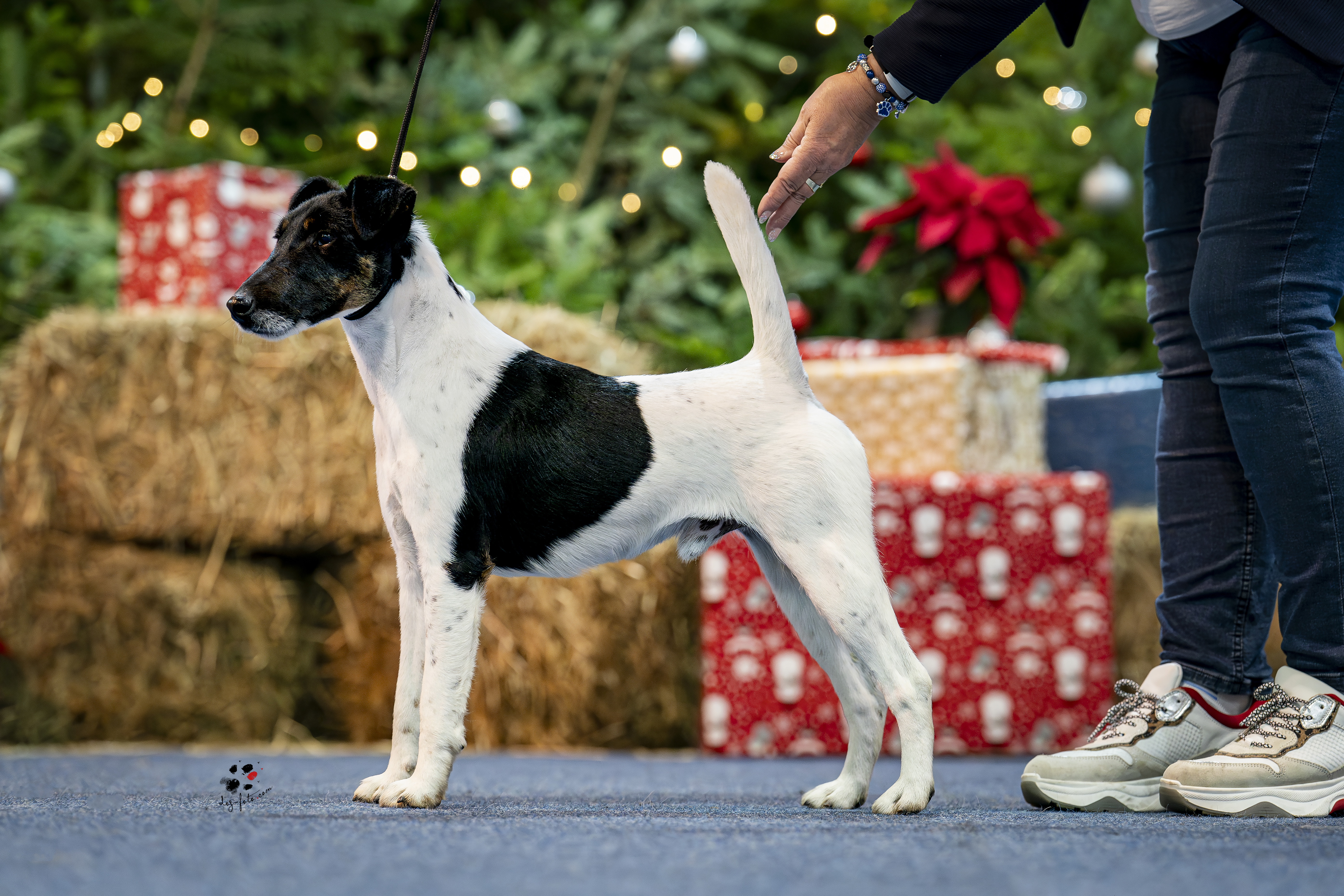 Black Magic Wels 2023-2